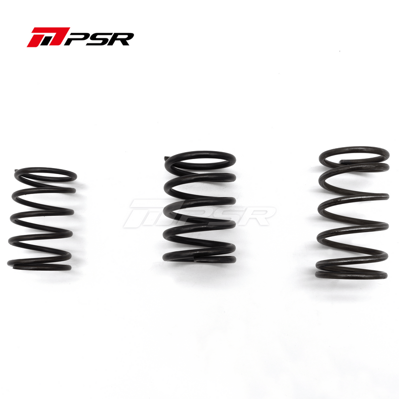 PSR Next Gen Wastegate Springs