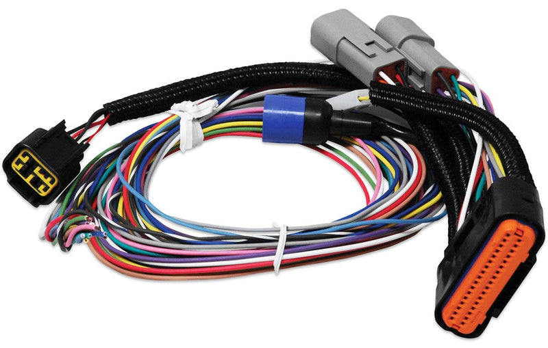 Replacement Harness