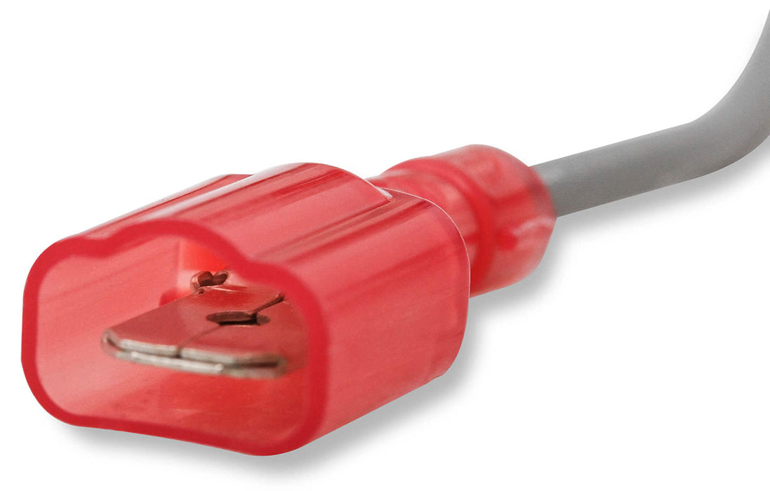 Pro-Billet Ready-To-Run Distributor - Black Cap