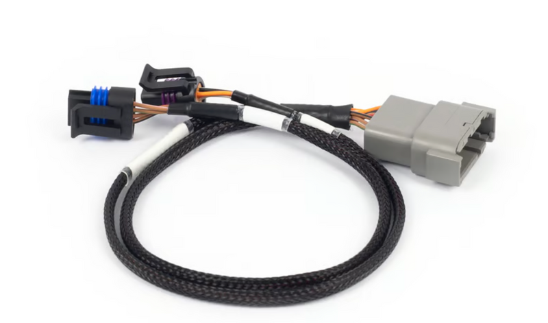Nexus Rebel LS - Cable Throttle + IAC sub-harness