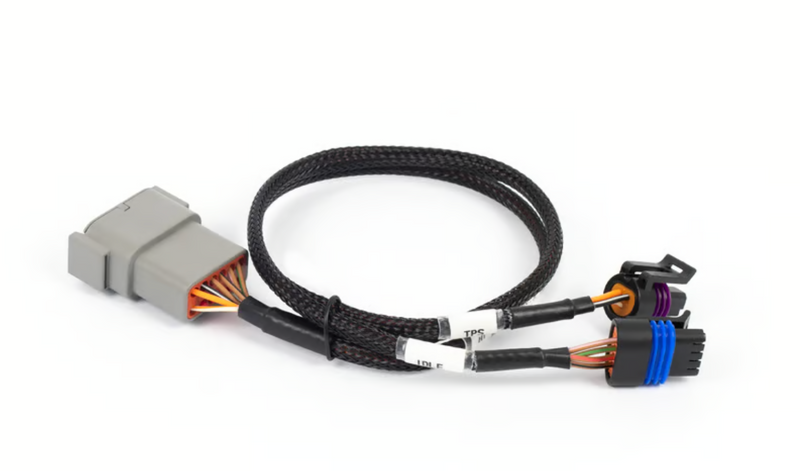 Nexus Rebel LS - Cable Throttle + IAC sub-harness