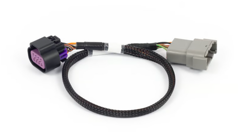 Nexus Rebel LS - 8-pin DBW adaptor