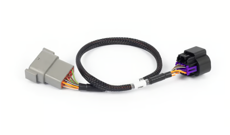Nexus Rebel LS - 8-pin DBW adaptor