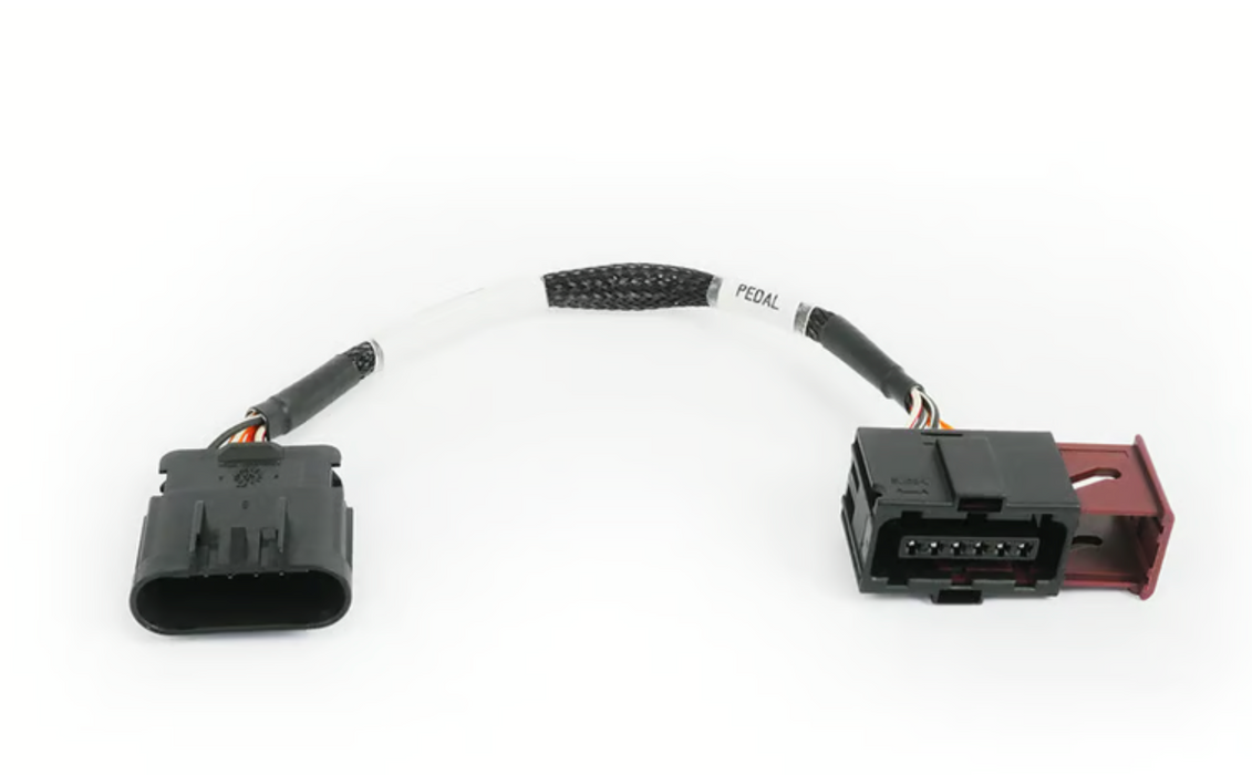 Nexus Rebel LS - VE Commodore Pedal Adapter Harness