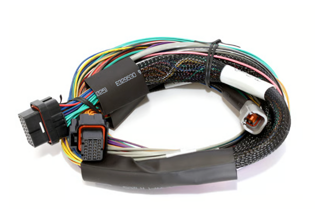Elite 2500 + Basic Universal Wire-in Harness Kit Length: 2.5m (8')