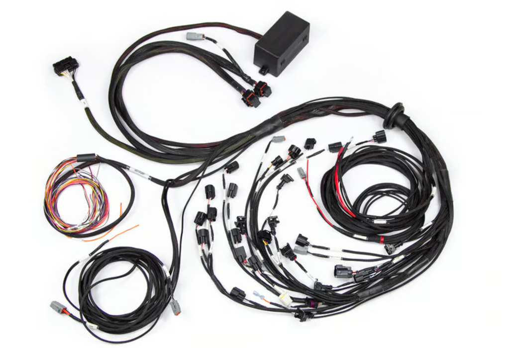 Elite 2500 Terminated Engine Harness For Ford Falcon BA/BF Barra 4.0L I6