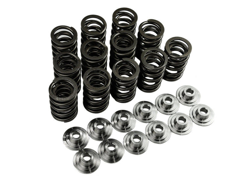 Plazmaman RB30 Valve Springs + Titanium retainers